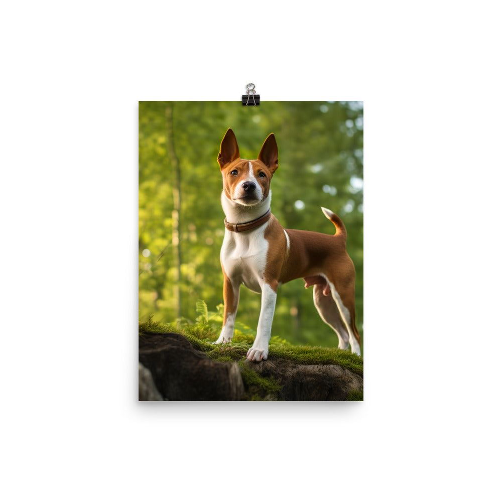 Basenji in Nature Photo paper poster - PosterfyAI.com