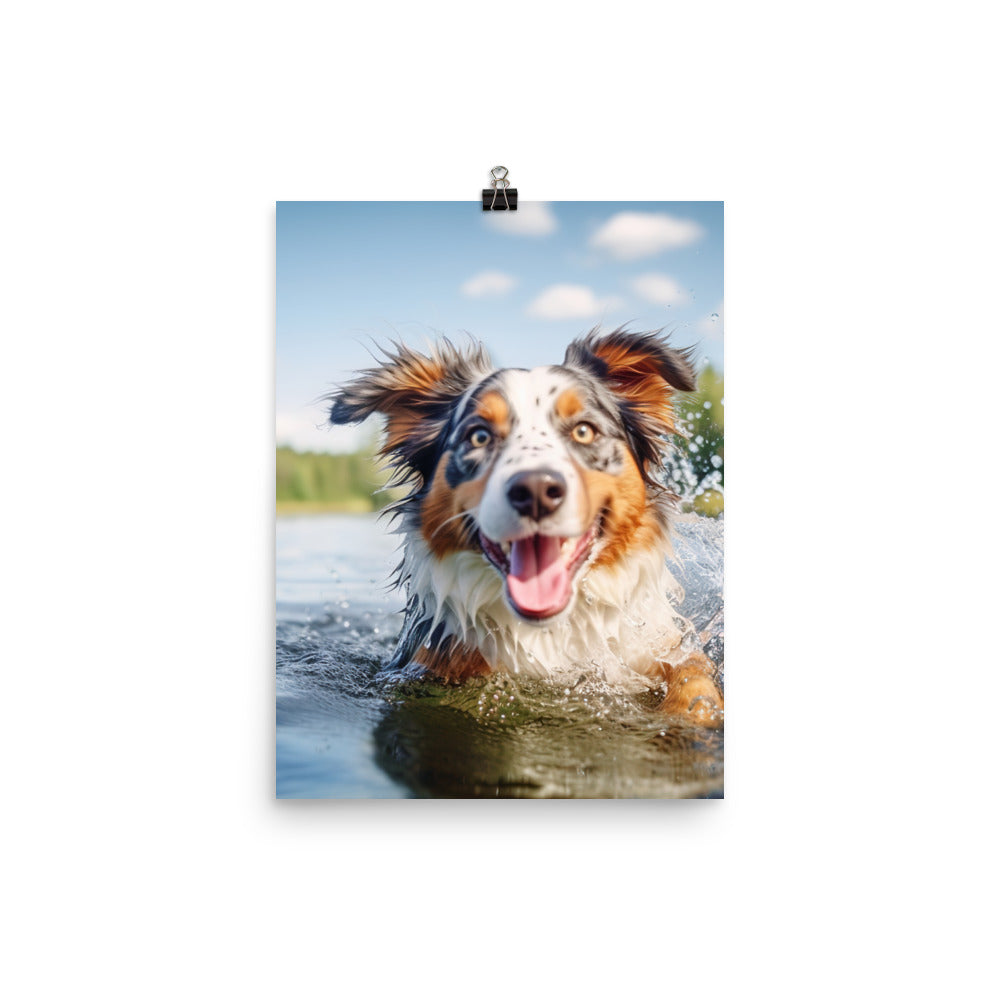 Australian Shepherd playing Photo paper poster - PosterfyAI.com