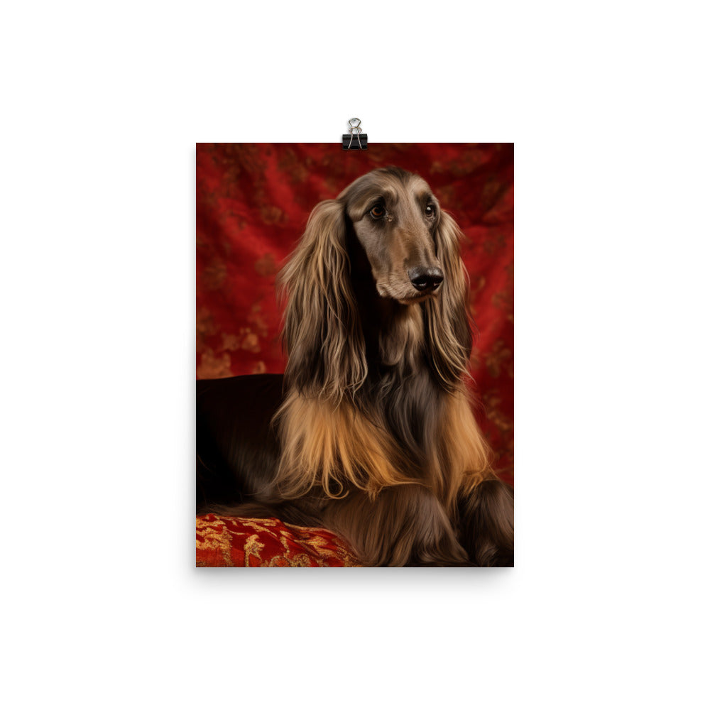 Afghan Hound in a regal pose Photo paper poster - PosterfyAI.com