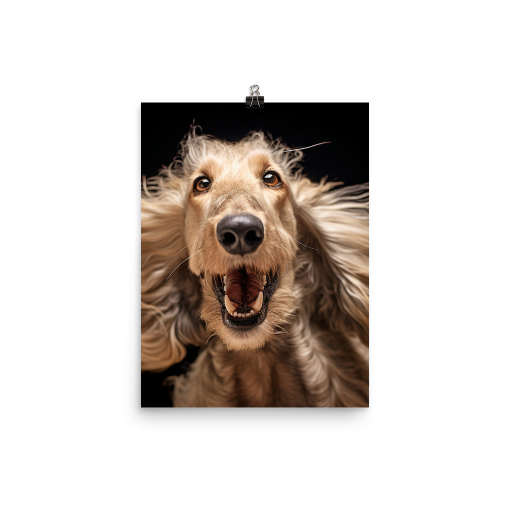 Afghan Hound in a playful mood Photo paper poster - PosterfyAI.com