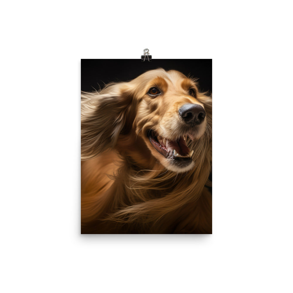 Afghan Hound in a playful mood Photo paper poster - PosterfyAI.com