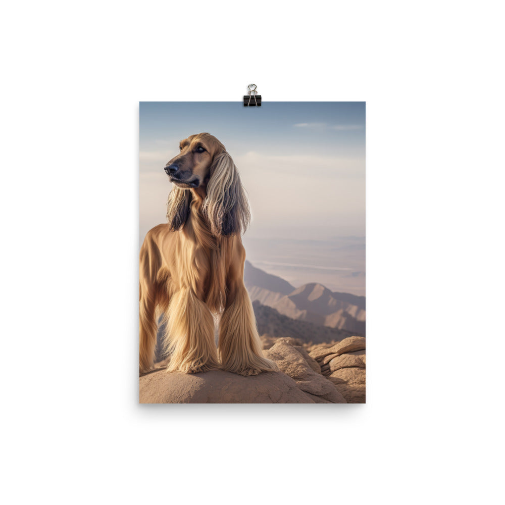 Afghan Hound in a natural environment Photo paper poster - PosterfyAI.com