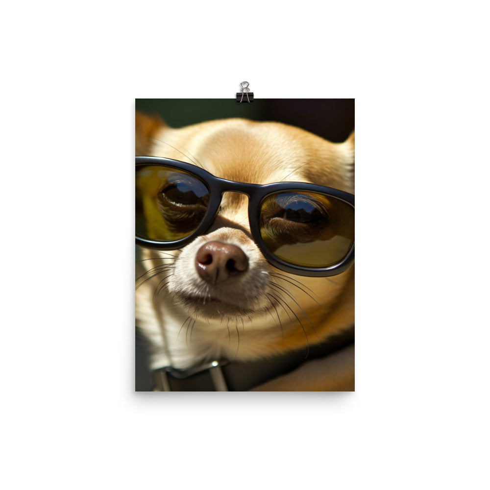 A Chihuahua wearing sunglasses Photo paper poster - PosterfyAI.com
