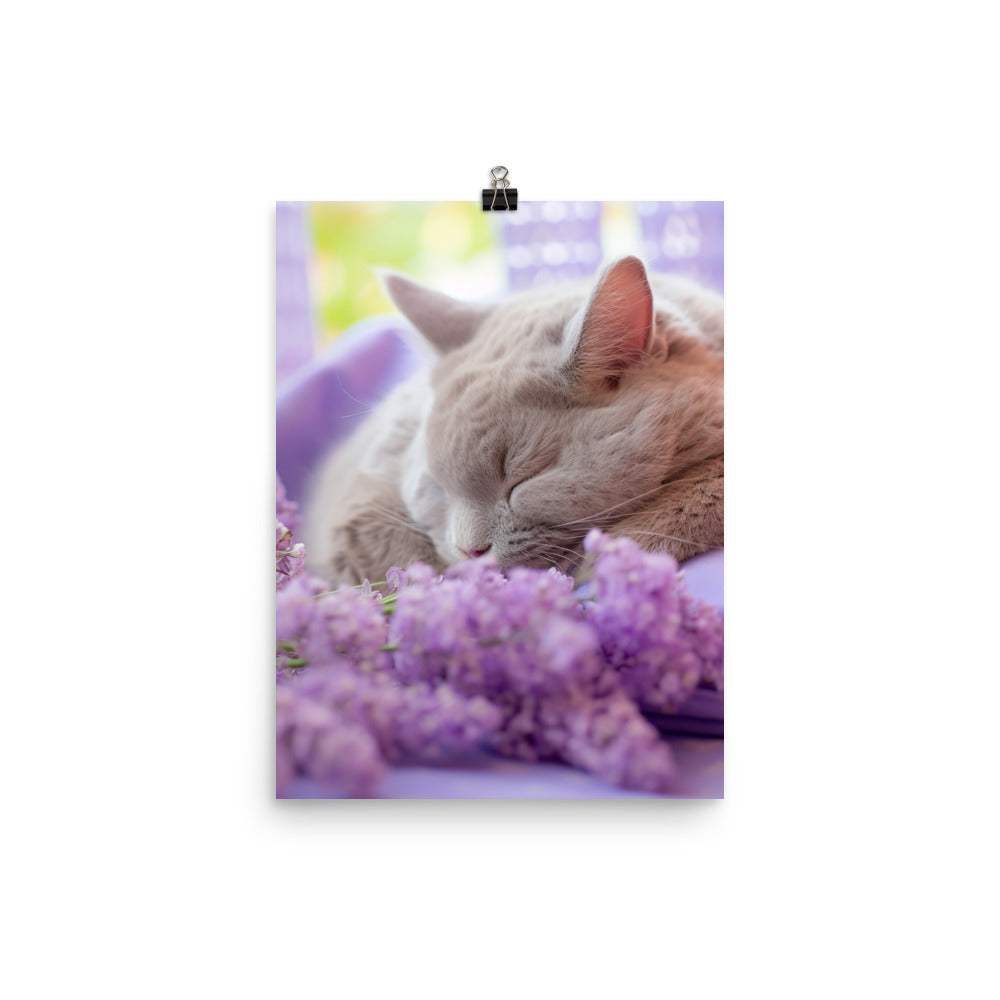Lilac Bunny in a Cozy Setting Photo paper poster - PosterfyAI.com