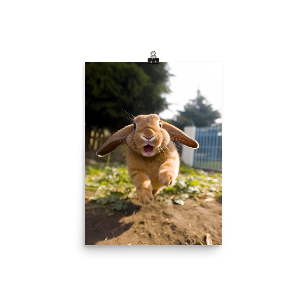 Mini Lop Bunny Enjoying a Playful Hop Photo paper poster - PosterfyAI.com