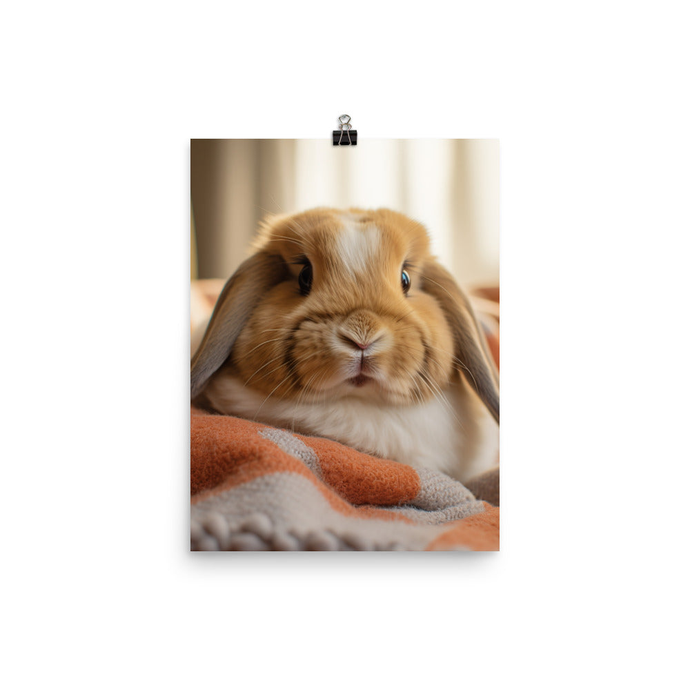 Holland Lop Bunny in a Cozy Setting Photo paper poster - PosterfyAI.com