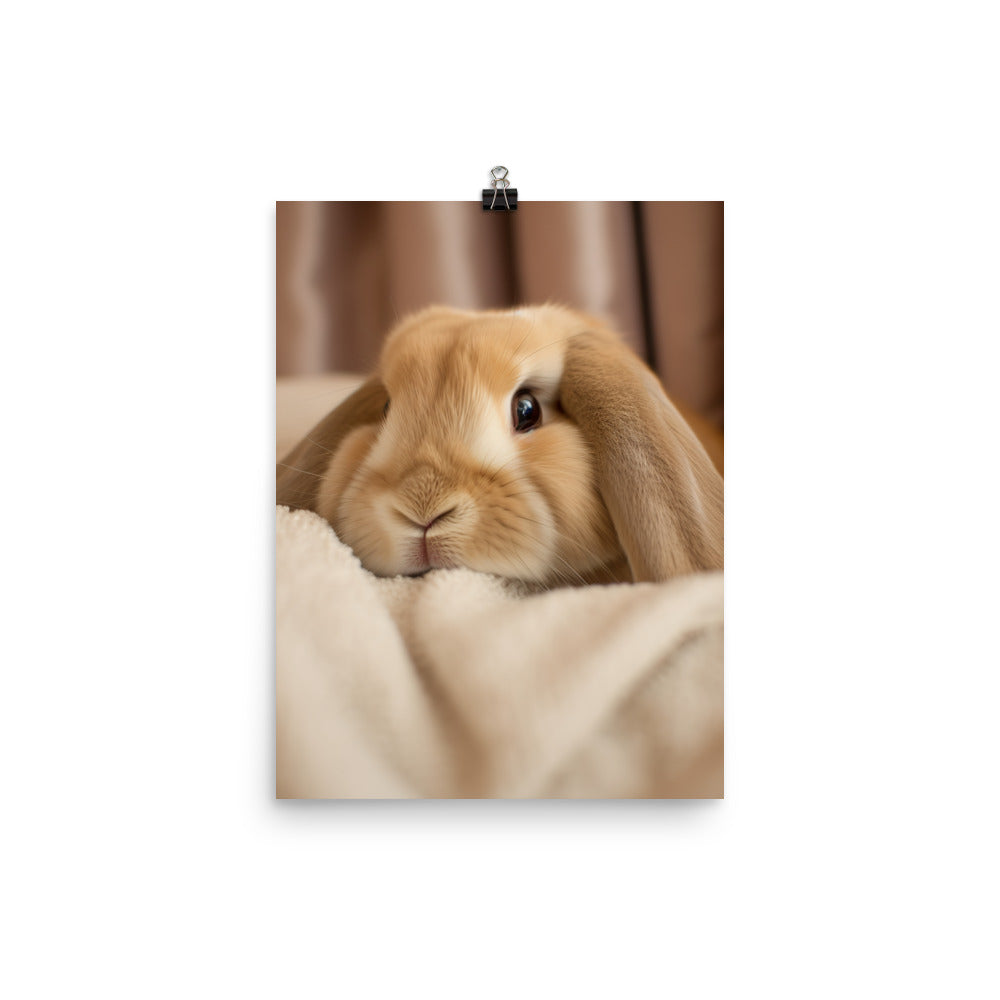 Holland Lop Bunny in a Cozy Setting Photo paper poster - PosterfyAI.com