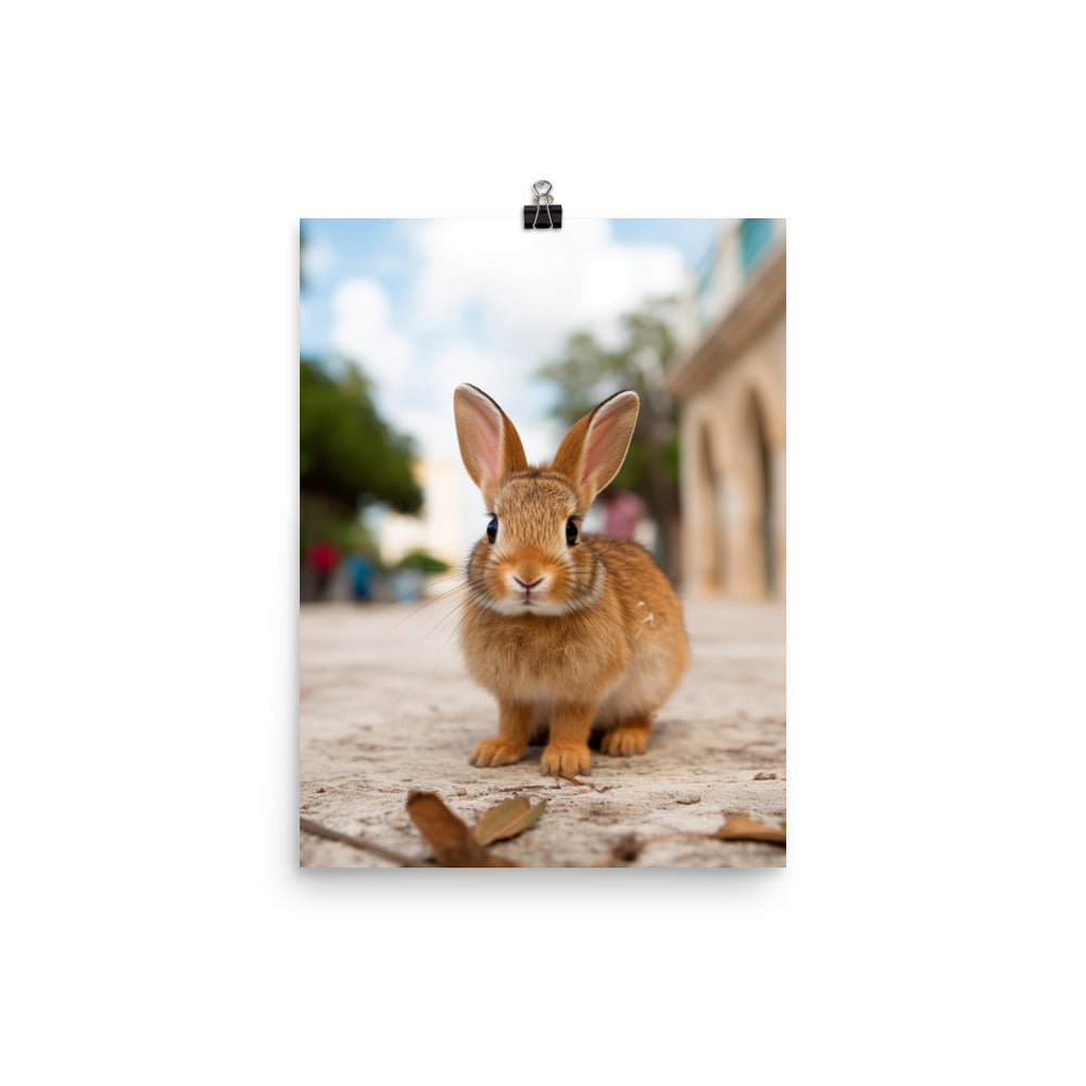 Adorable Havana Bunny Photo paper poster - PosterfyAI.com