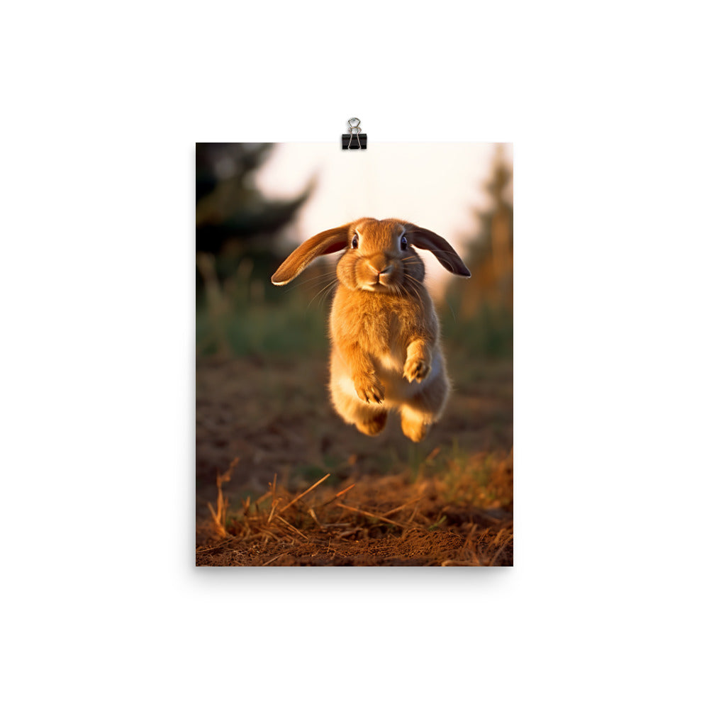 English Lop Bunny Enjoying a Playful Hop Photo paper poster - PosterfyAI.com