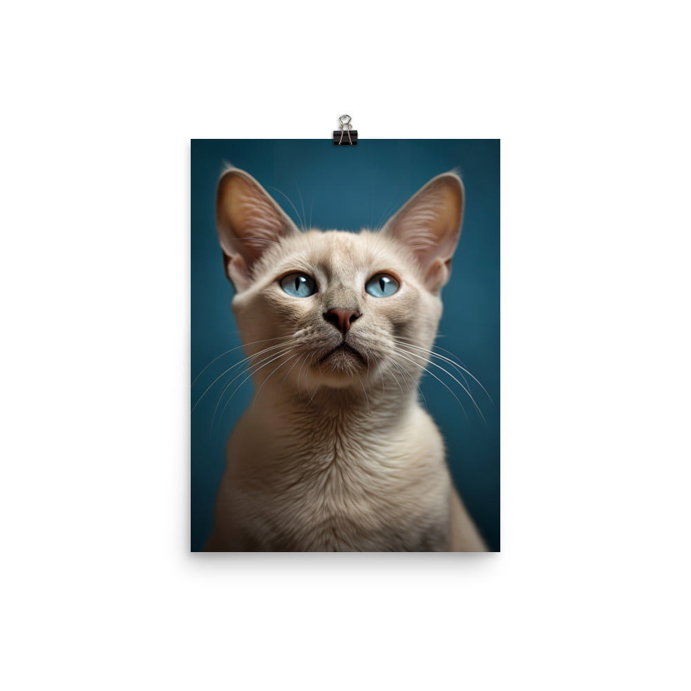 Charm of Tonkinese Kitten Photo paper poster - PosterfyAI.com