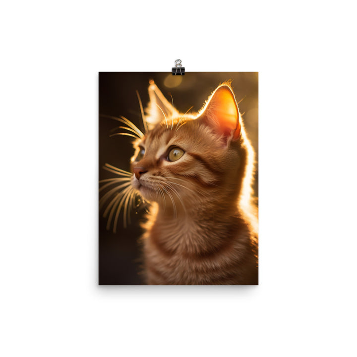 Details of Somali Kitten Photo paper poster - PosterfyAI.com