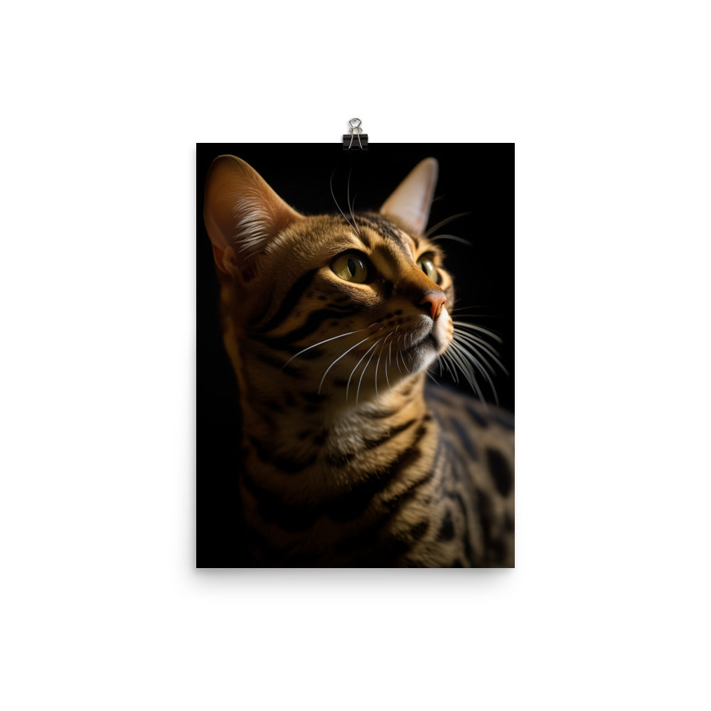 Majestic Beauty of Ocicat Cat Photo paper poster - PosterfyAI.com