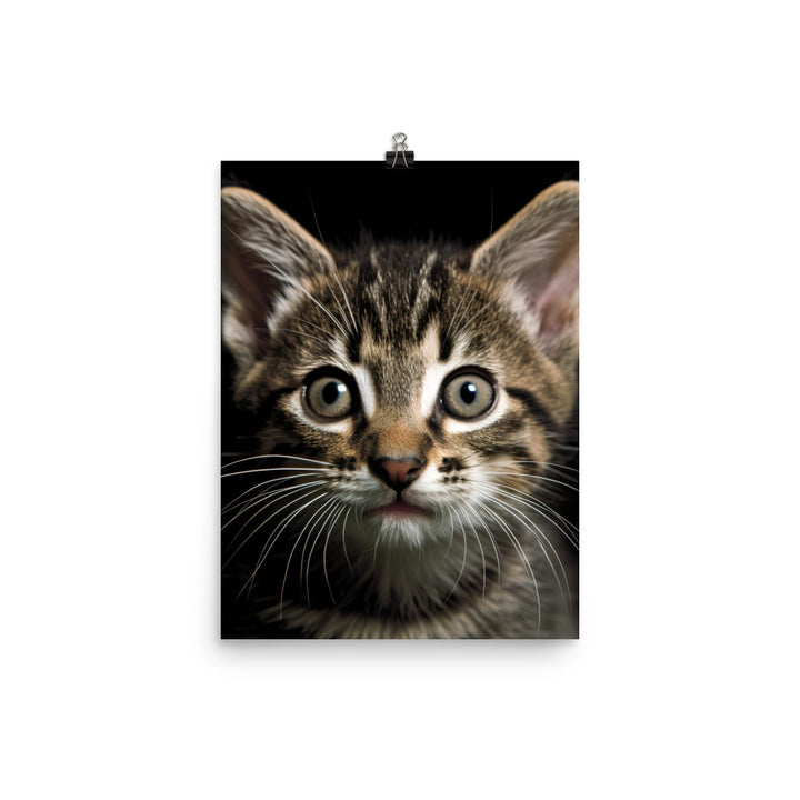 Manx Kitten Photo paper poster - PosterfyAI.com