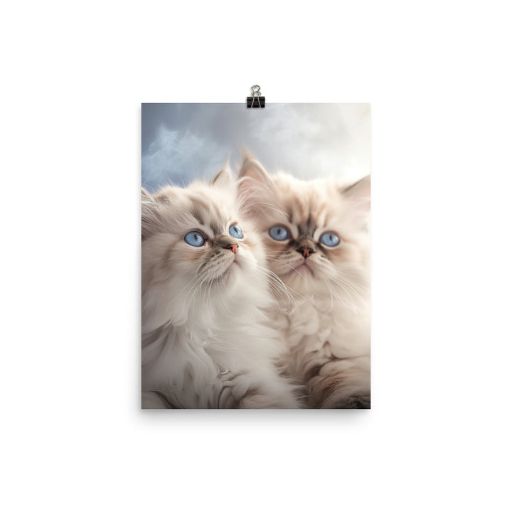Serene World of Himalayan Kittens Photo paper poster - PosterfyAI.com