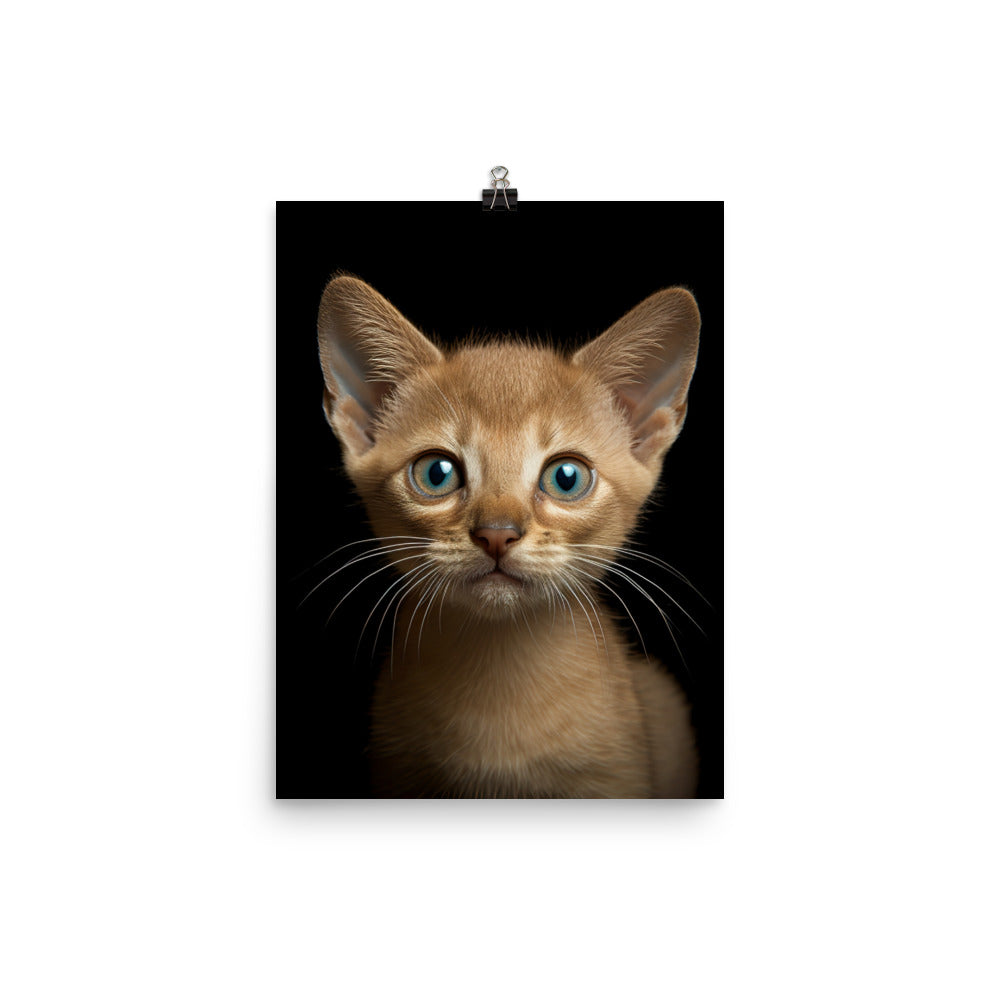 Playful World of Burmese Kitten Photo paper poster - PosterfyAI.com