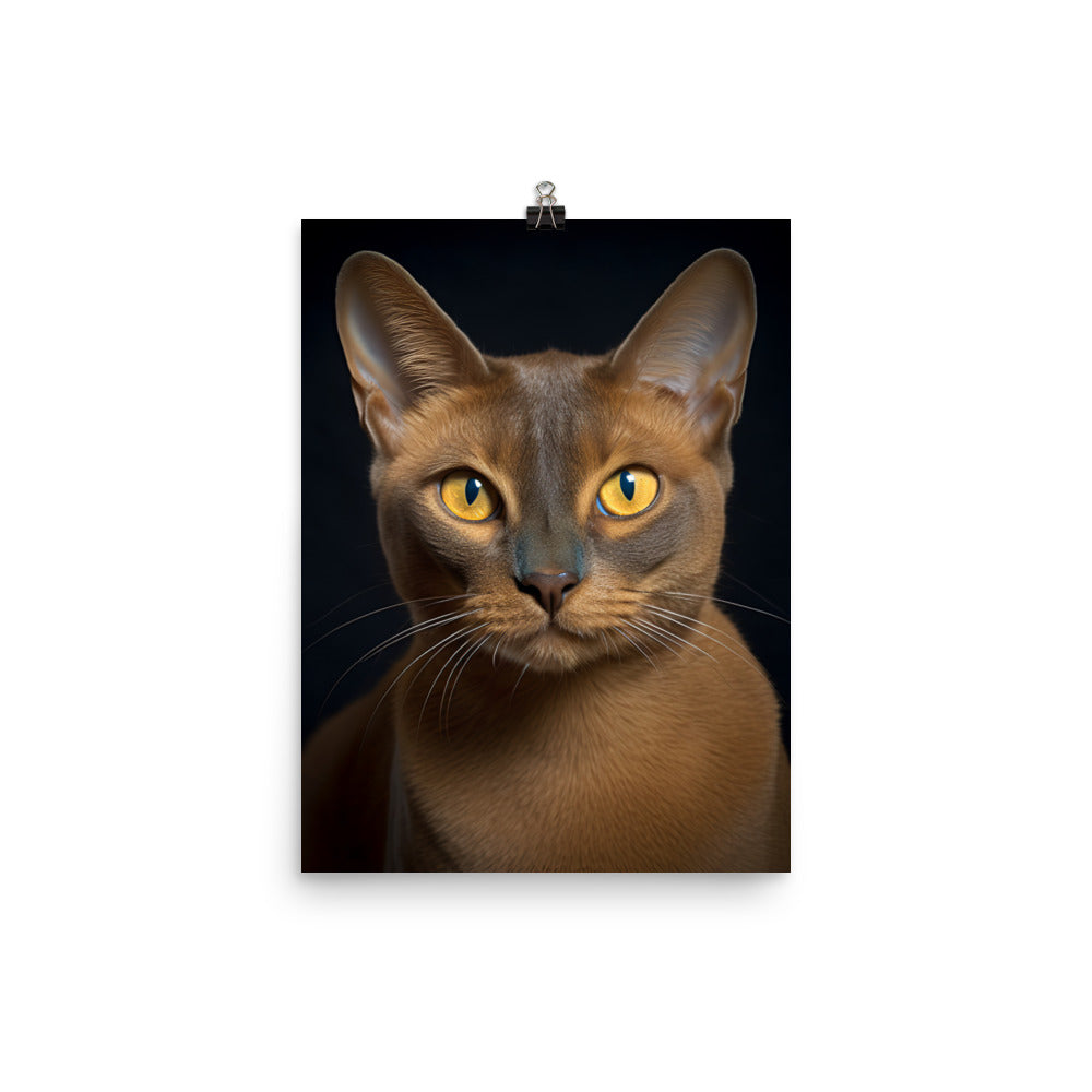 Elegance of Burmese Cat Photo paper poster - PosterfyAI.com