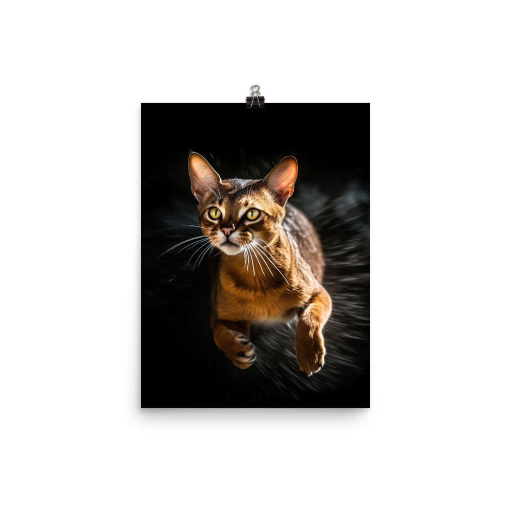 Abyssinian Cat Photo paper poster - PosterfyAI.com