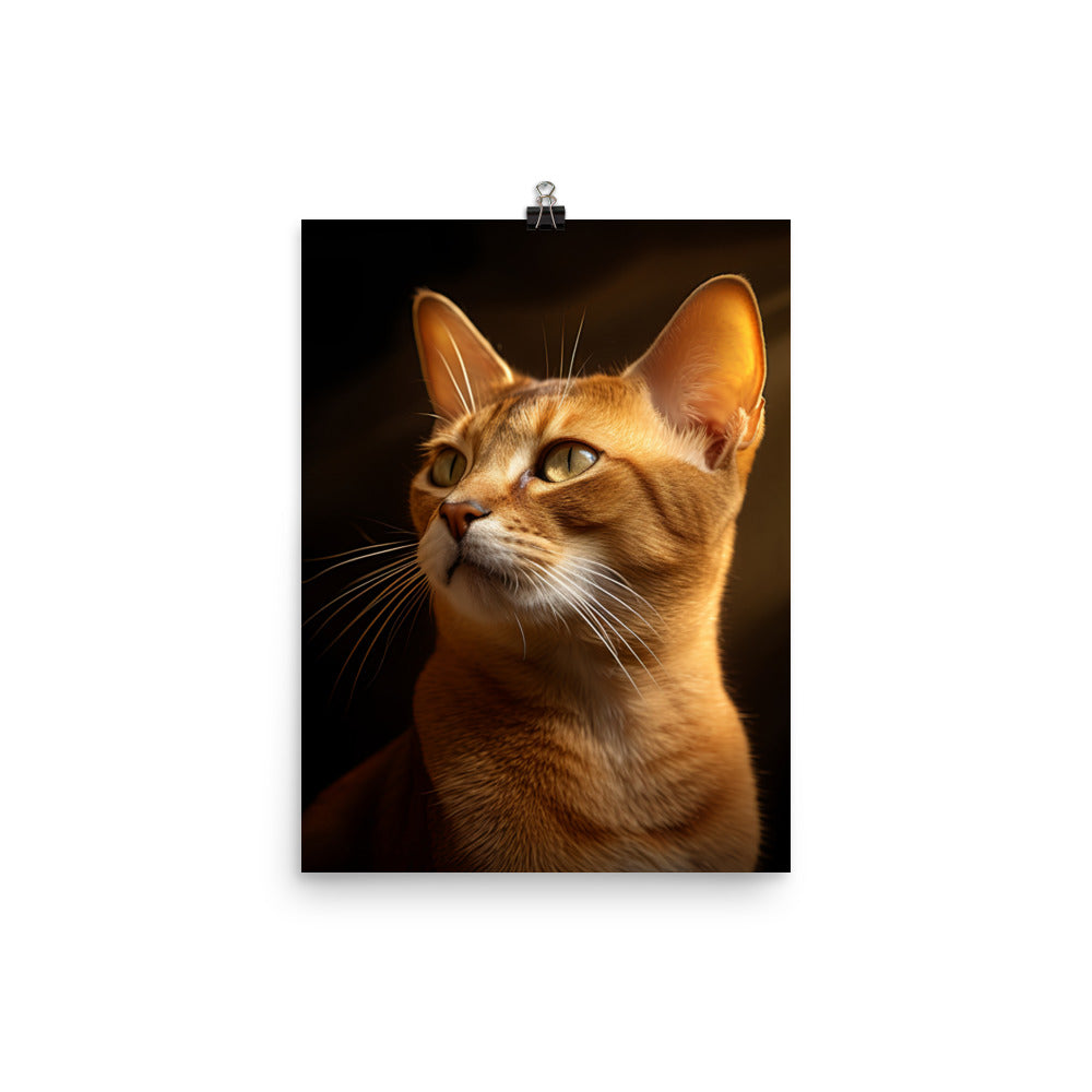 Abyssinian Cat Photo paper poster - PosterfyAI.com