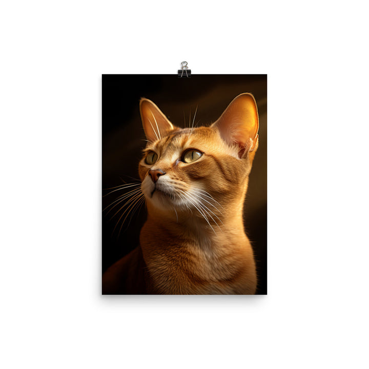 Abyssinian Cat Photo paper poster - PosterfyAI.com