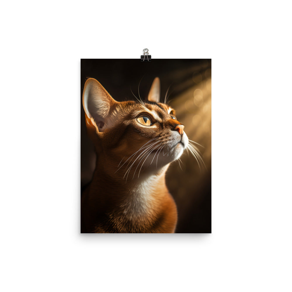 Abyssinian Cat Photo paper poster - PosterfyAI.com