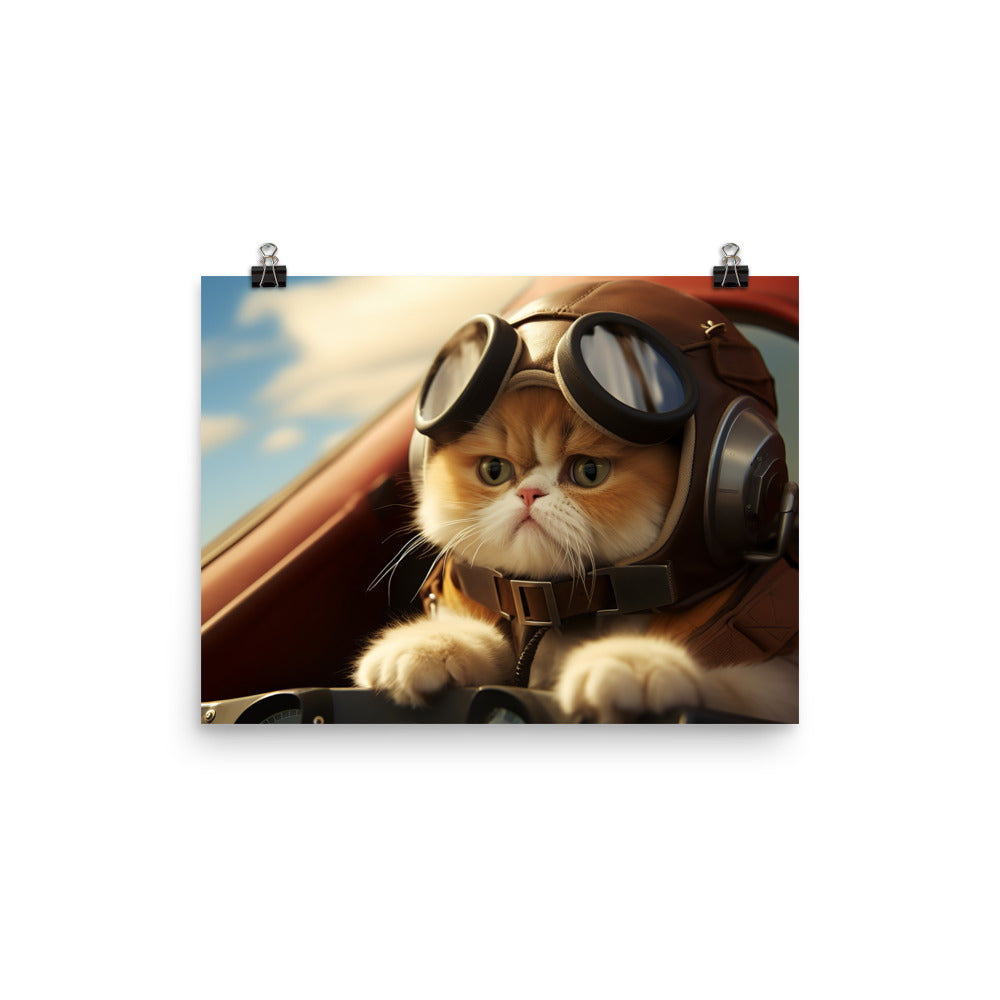 Exotic Shorthair Pilot Photo paper poster - PosterfyAI.com
