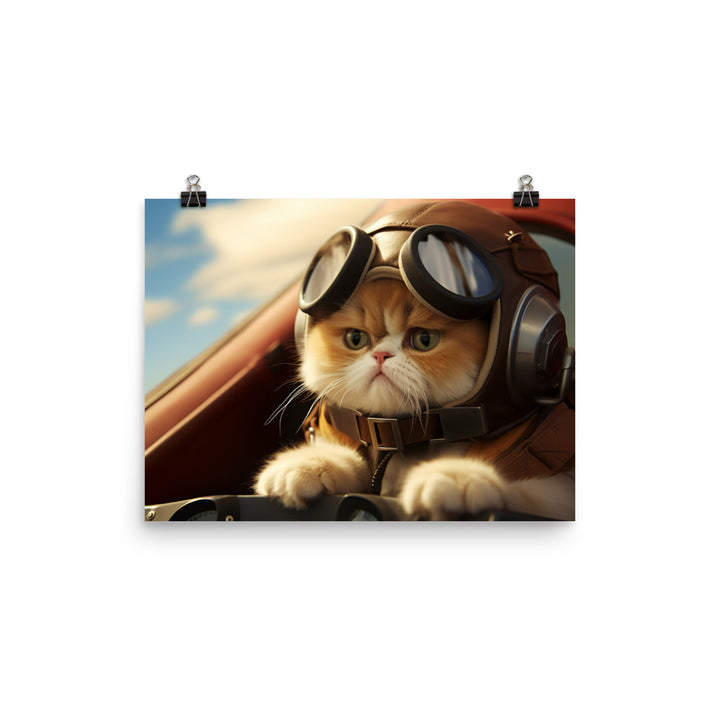 Exotic Shorthair Pilot Photo paper poster - PosterfyAI.com
