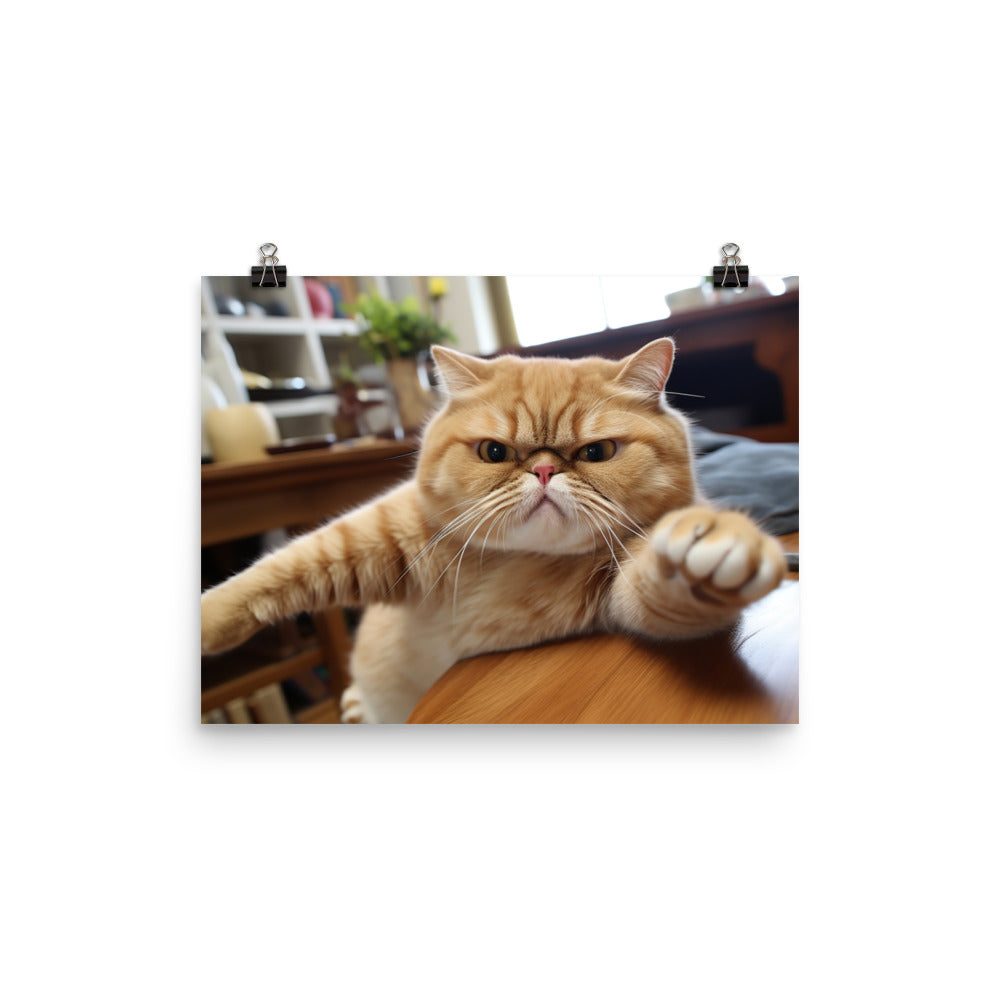 Exotic Shorthair Photo paper poster - PosterfyAI.com