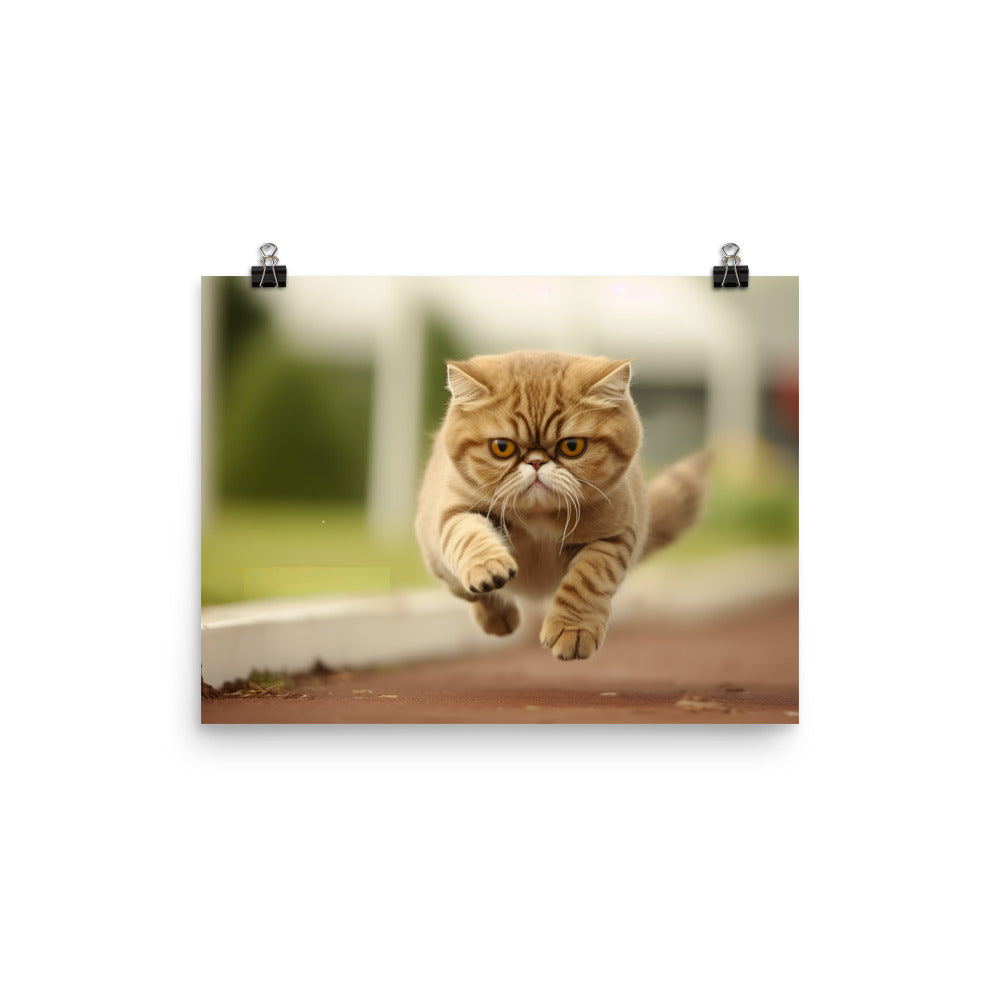 Exotic Shorthair Photo paper poster - PosterfyAI.com