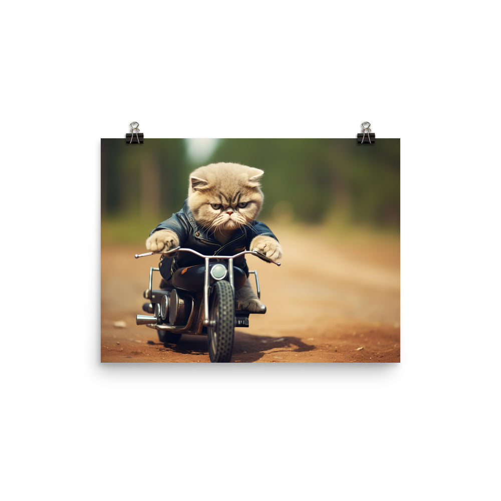 Exotic Shorthair Superbike Athlete Photo paper poster - PosterfyAI.com