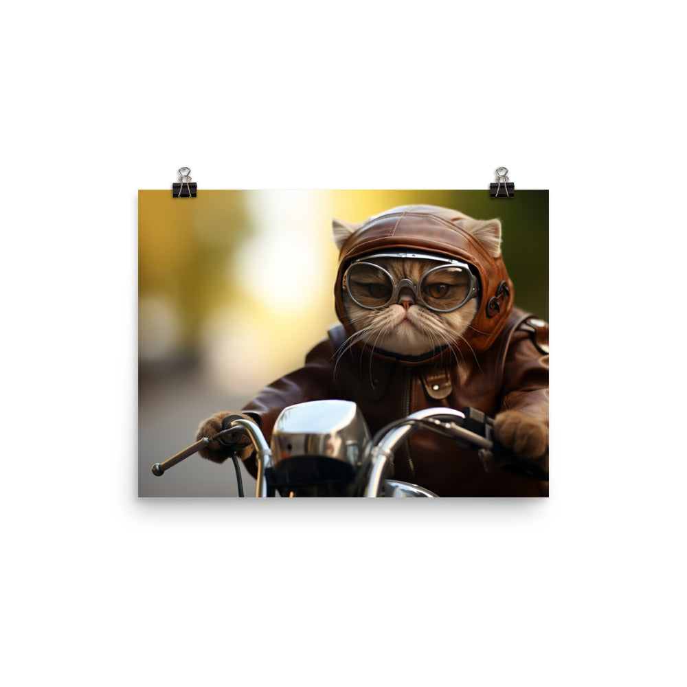 Exotic Shorthair Superbike Athlete Photo paper poster - PosterfyAI.com
