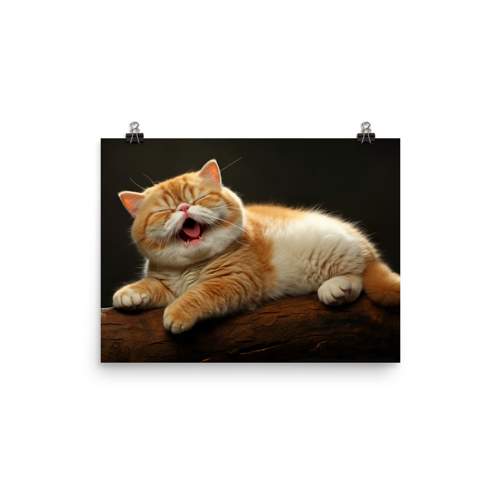 Exotic Shorthair Photo paper poster - PosterfyAI.com