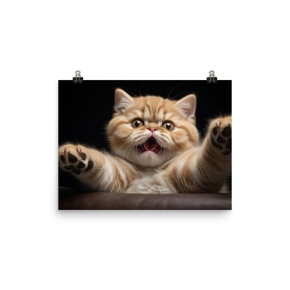 Exotic Shorthair Photo paper poster - PosterfyAI.com