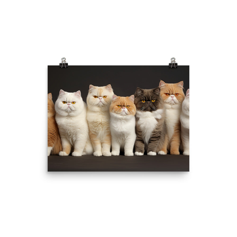 Exotic Shorthair Photo paper poster - PosterfyAI.com