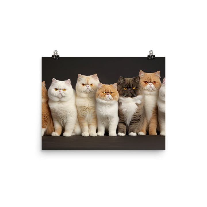 Exotic Shorthair Photo paper poster - PosterfyAI.com