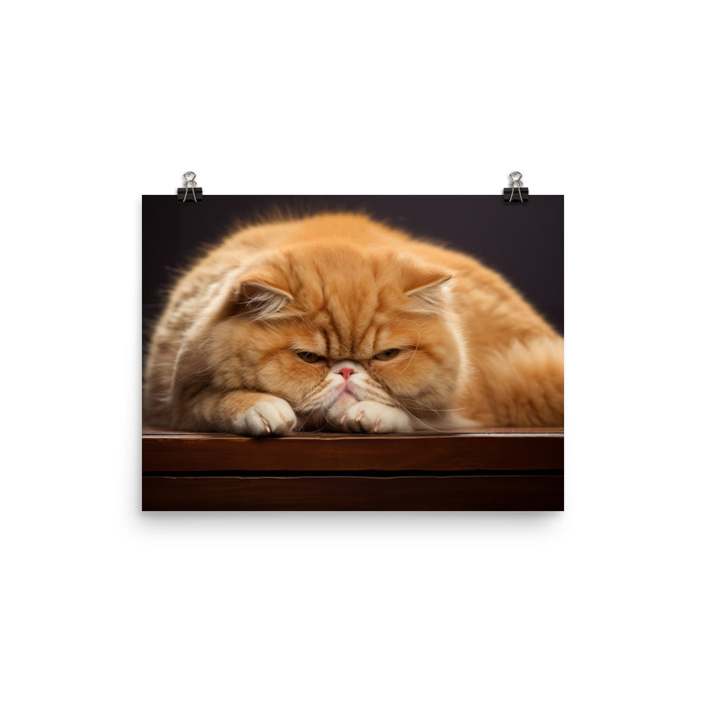 Exotic Shorthair Photo paper poster - PosterfyAI.com