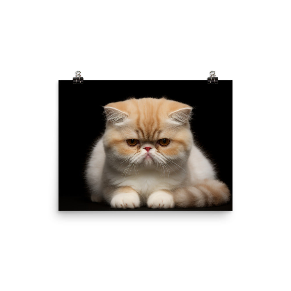Exotic Shorthair Photo paper poster - PosterfyAI.com