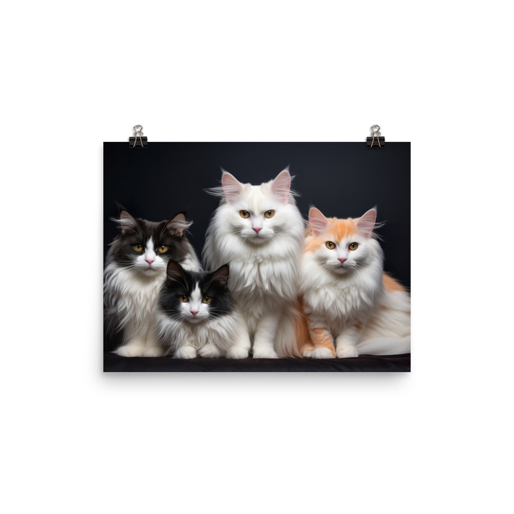 Turkish Van Photo paper poster - PosterfyAI.com