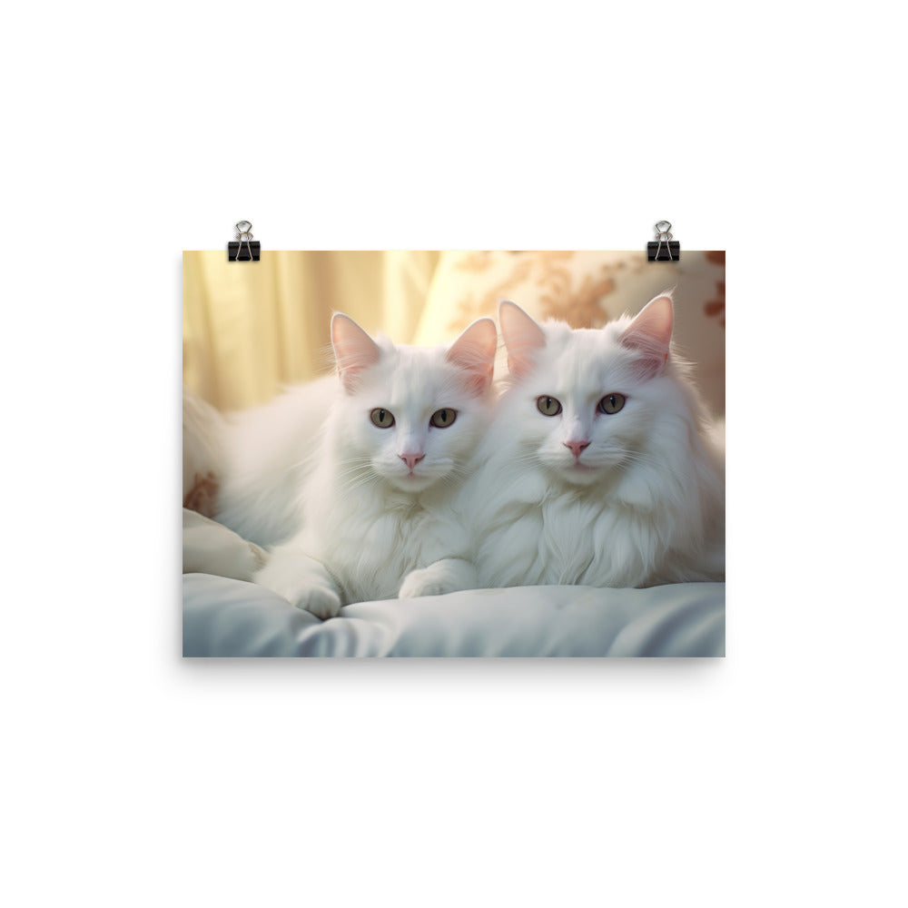 Turkish Van Photo paper poster - PosterfyAI.com