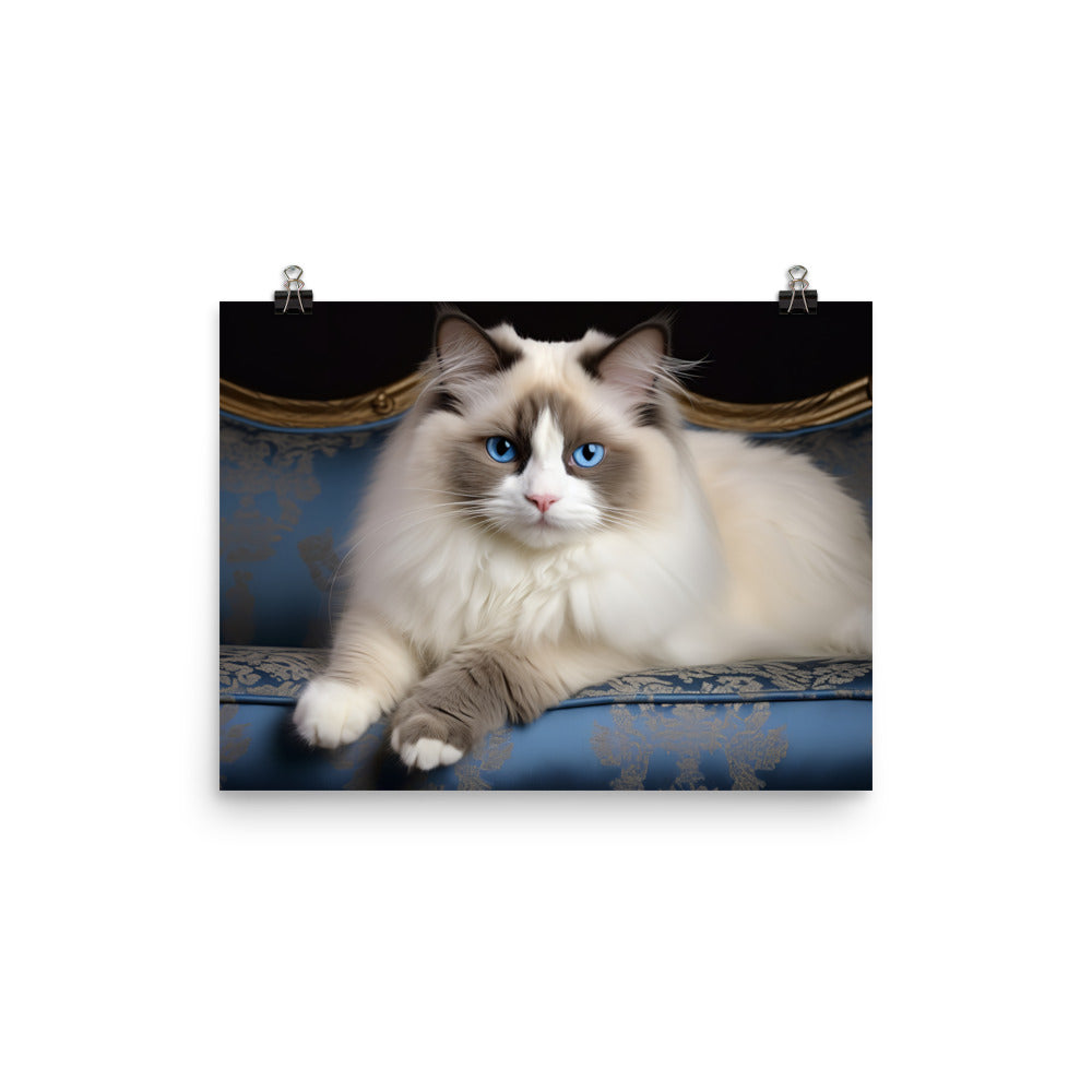 Ragdoll Photo paper poster - PosterfyAI.com