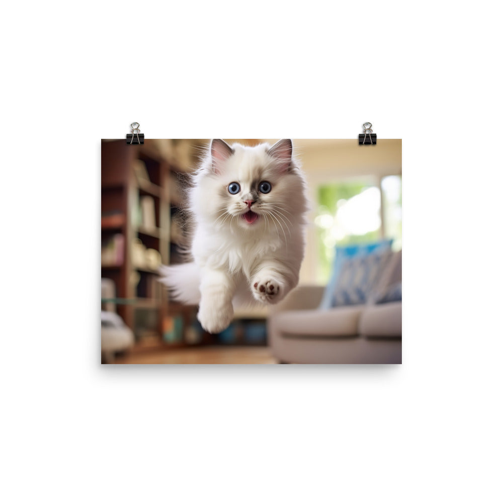 Ragdoll Photo paper poster - PosterfyAI.com
