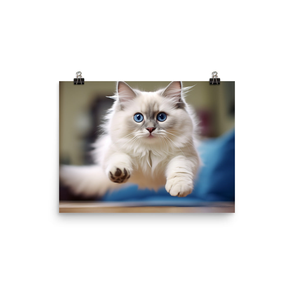 Ragdoll Photo paper poster - PosterfyAI.com