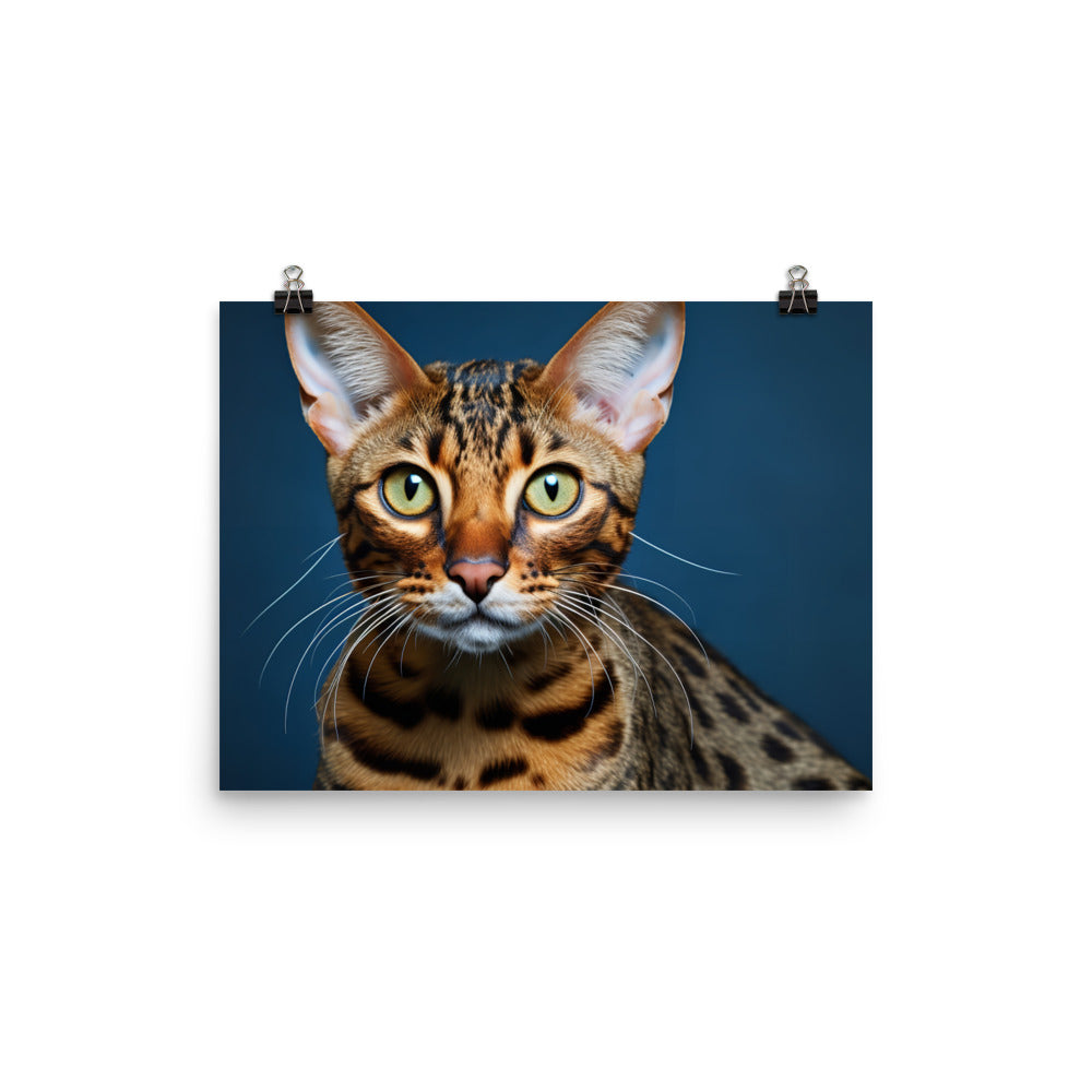 Ocicat Photo paper poster - PosterfyAI.com