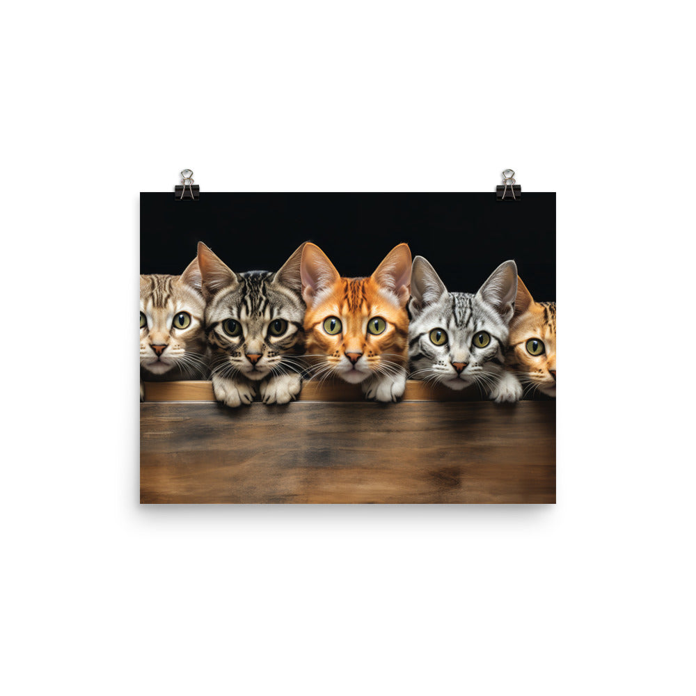 Ocicat Photo paper poster - PosterfyAI.com