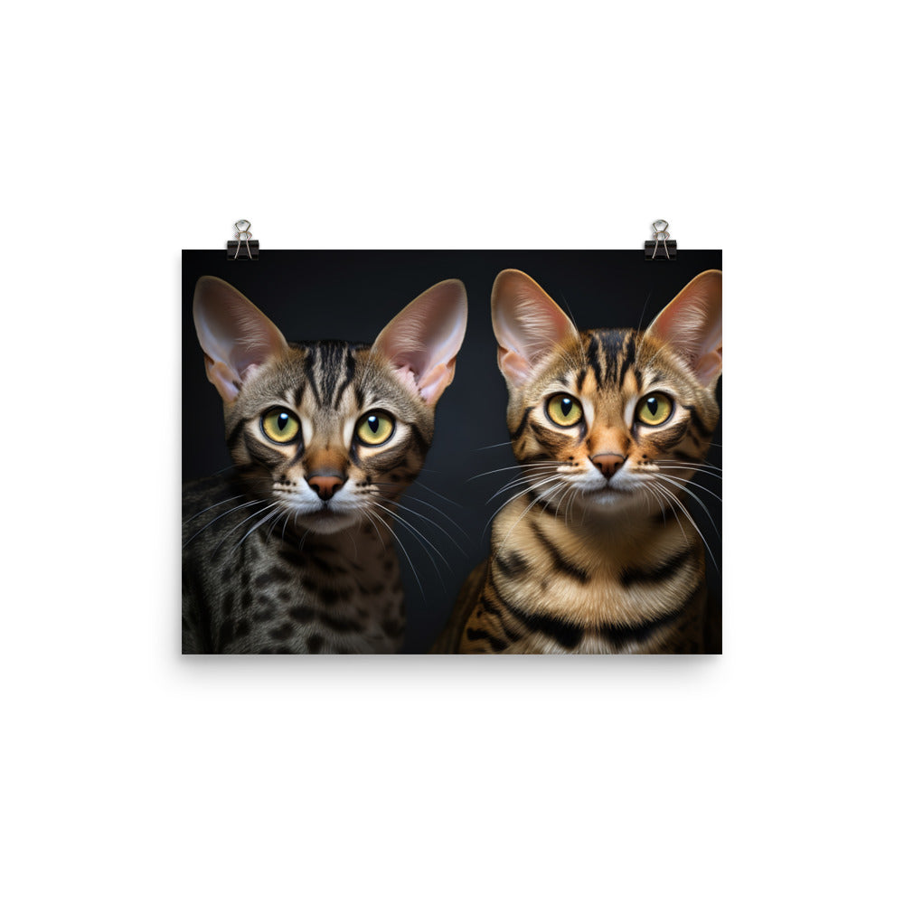 Ocicat Photo paper poster - PosterfyAI.com