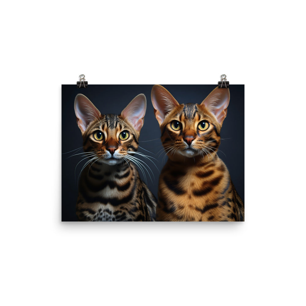 Ocicat Photo paper poster - PosterfyAI.com