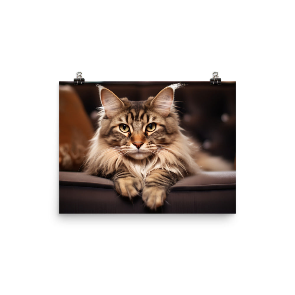 Maine Coon Photo paper poster - PosterfyAI.com