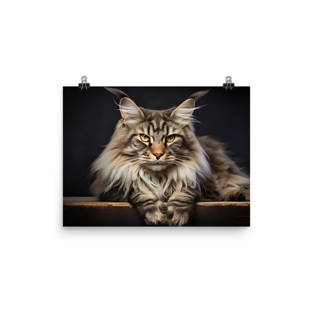 Maine Coon Photo paper poster - PosterfyAI.com