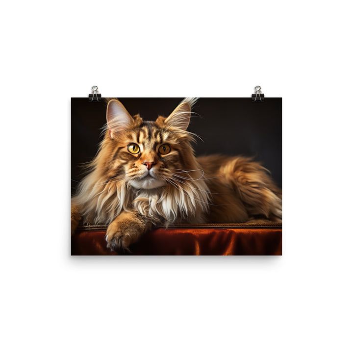 Maine Coon Photo paper poster - PosterfyAI.com
