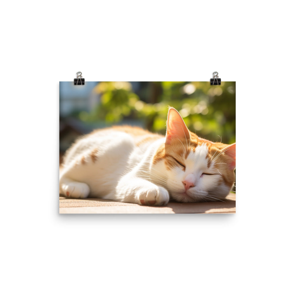 Japanese Bobtail Photo paper poster - PosterfyAI.com