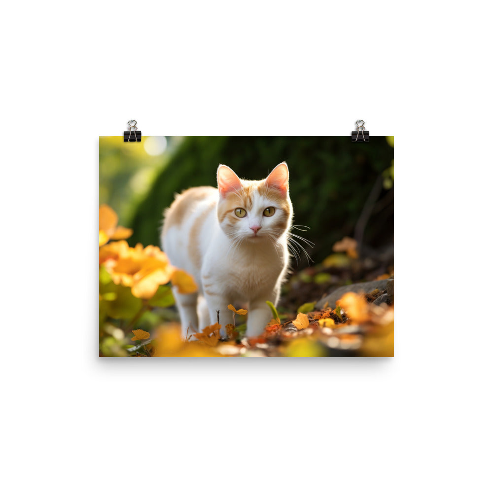 Japanese Bobtail Photo paper poster - PosterfyAI.com